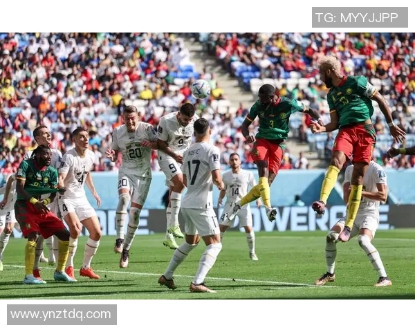 卡塔尔与塞尔维亚球星交相辉映展现足球激情与世界绿茵魅力